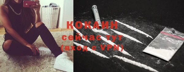 твердый Белокуриха