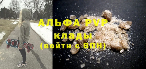 сатива Беломорск