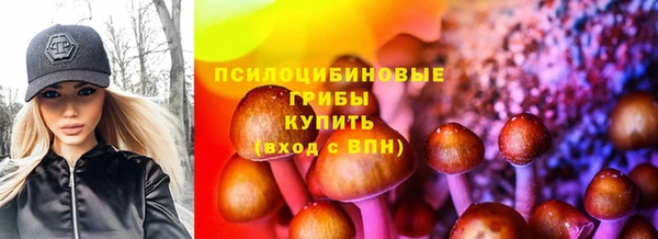сатива Беломорск