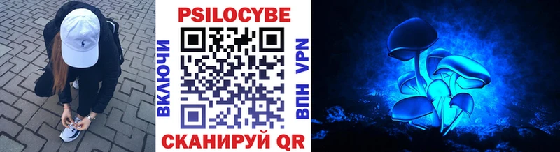 купить наркоту Конаково Галлюциногенные грибы Psilocybine cubensis